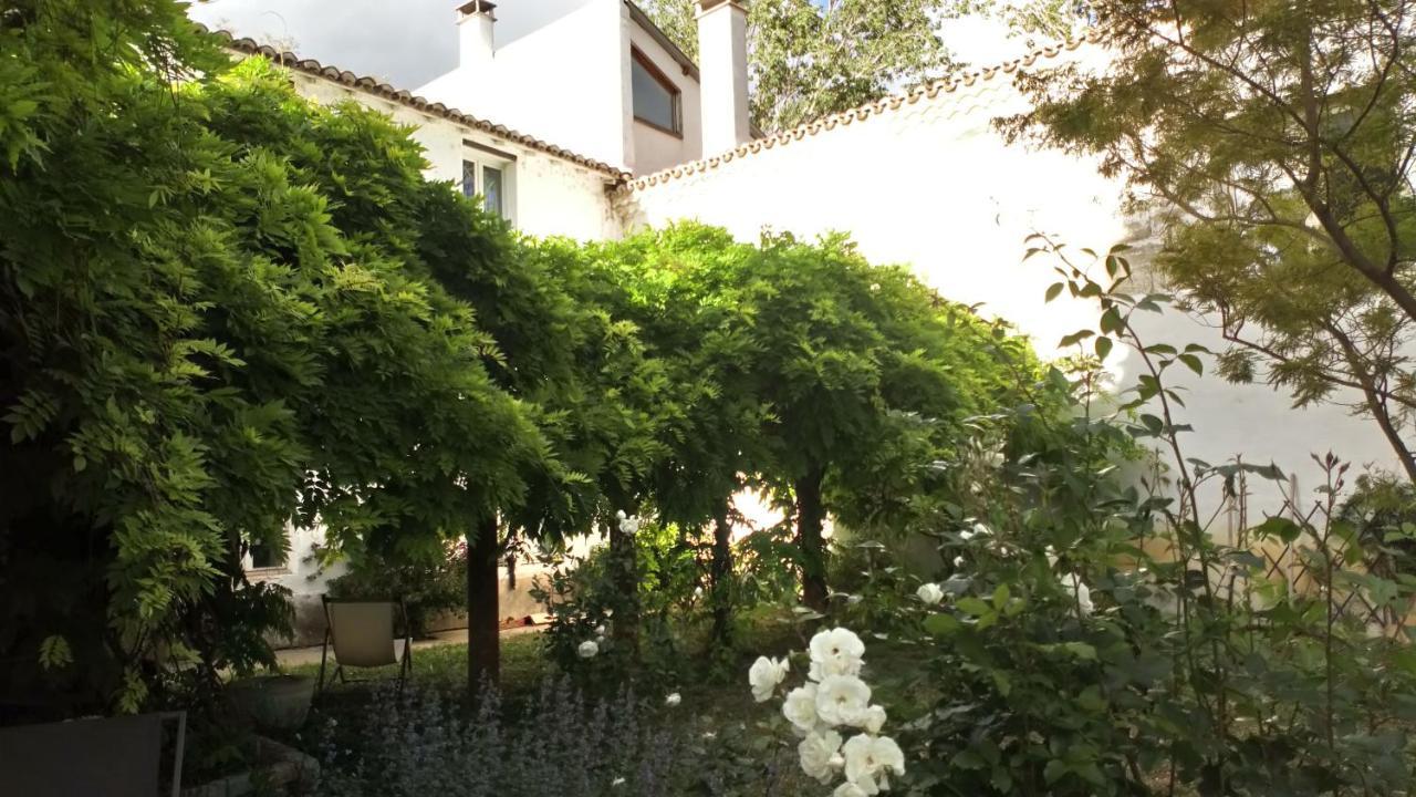 Bed and Breakfast Grand Argence à Fourques  Extérieur photo