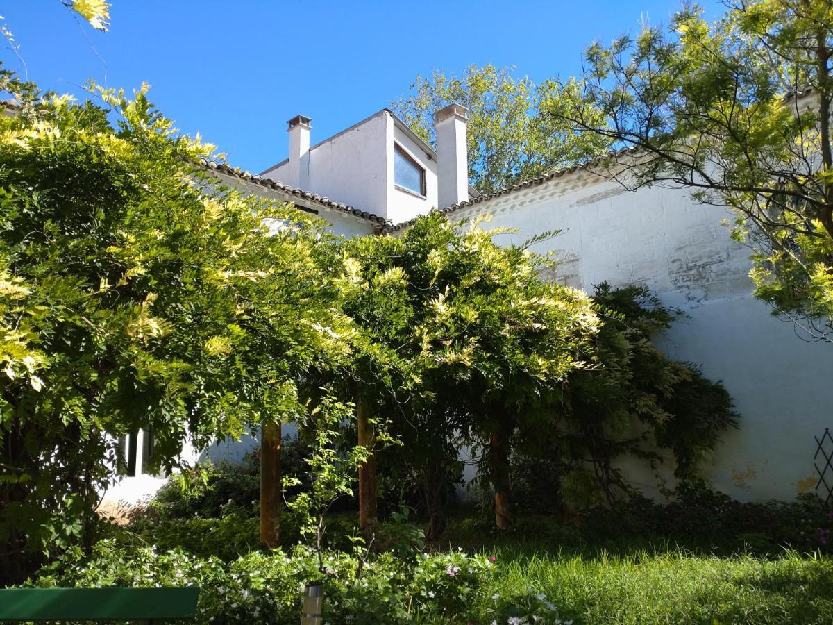 Bed and Breakfast Grand Argence à Fourques  Extérieur photo