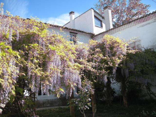 Bed and Breakfast Grand Argence à Fourques  Extérieur photo