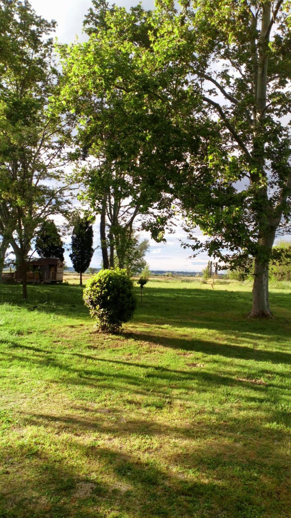 Bed and Breakfast Grand Argence à Fourques  Chambre photo